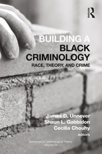 Advances in Criminological Theory
