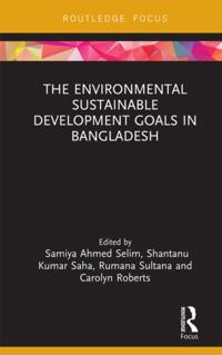 Routledge Focus on Environment and Sustainability