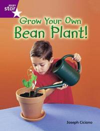 Rigby Star Guid Year 2 Purple Level: Grow Your Own Bean Plant Guided Reading Pk Framework