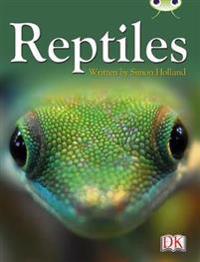BC NF Red (KS2) B/5B Reptiles