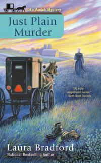 An Amish Mystery