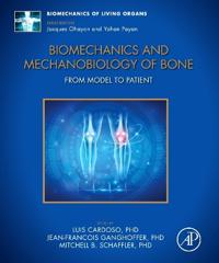 Biomechanics and Mechanobiology of Bone
