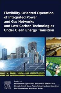 Flexibility-Oriented Operation of Integrated Power and Gas Networks and Low-Carbon Technologies Under Clean Energy Transition