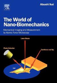 The World of Nano-Biomechanics