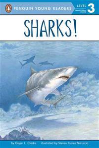 Sharks!