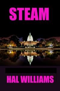 Steam