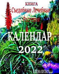 .               N  2022. N NS          N        N       N    N   N N       N