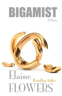 Bigamist: A Story