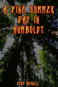 Fine Summer Day in Humboldt