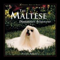 Maltese