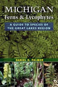 Michigan Ferns and Lycophytes