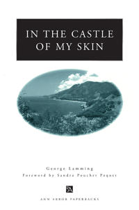Kirjan kansi "In the Castle of My Skin"