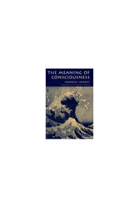 The Meaning of Consciousness