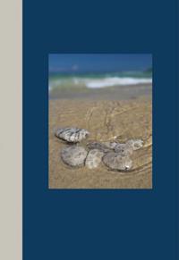 Northern Michigan Journal