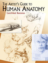 Artists guide to human anatomy