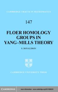 Floer Homology Groups in Yang-Mills Theory