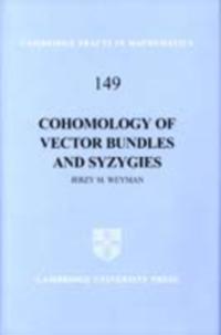 Cohomology of Vector Bundles and Syzygies
