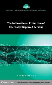 International Protection of Internally Displaced Persons