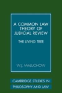 Common Law Theory of Judicial Review