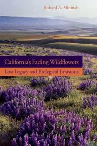 California’s Fading Wildflowers