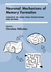 Neuronal Mechanisms of Memory Formation