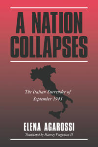 Bokomslag för "A Nation Collapses"