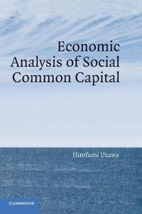 Economic Analysis of Social Common Capital