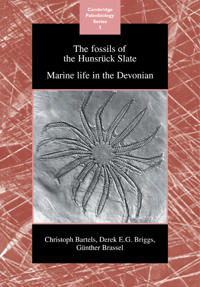 The Fossils of the Hunsrück Slate