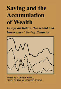 Bokomslag för "Saving and the Accumulation of Wealth"