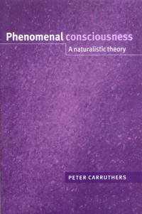 Phenomenal Consciousness
