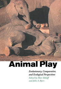 Bokomslag för "Animal Play"