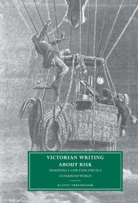 Bokomslag för "Victorian Writing about Risk"