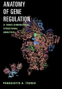 Anatomy of Gene Regulation