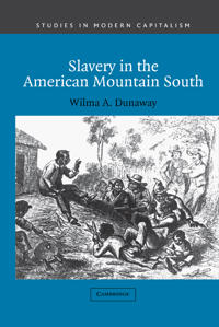 Bokomslag för "Slavery in the American Mountain South"
