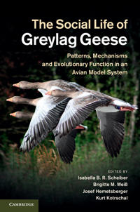 Bokomslag för "The Social Life of Greylag Geese"