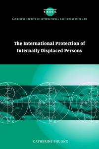 The International Protection of Internally Displaced Persons