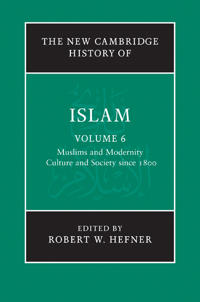 The New Cambridge History of Islam