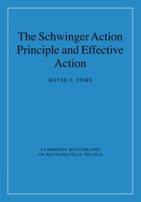 The Schwinger Action Principle and Effective Action