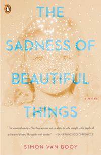 Sadness of Beautiful Things