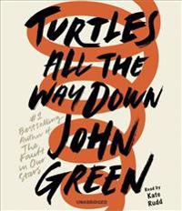 Turtles All the Way Down