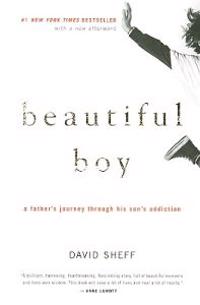 Beautiful Boy: A Father's Journey Through His Son's Addiction