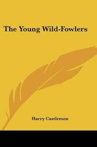 The Young Wild-Fowlers