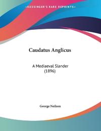 Caudatus Anglicus