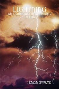 Lightning: an Examination of Energy Fields