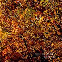 Leslie Parke Paintings