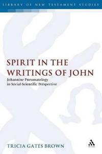 Spirit in the Writings of John