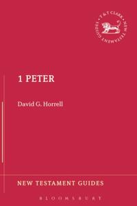 New Testament Guides