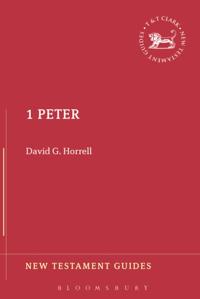 New Testament Guides