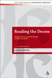 T&T Clark Studies in Systematic Theology
