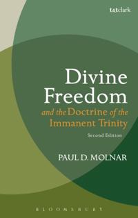 Divine Freedom and the Doctrine of the Immanent Trinity